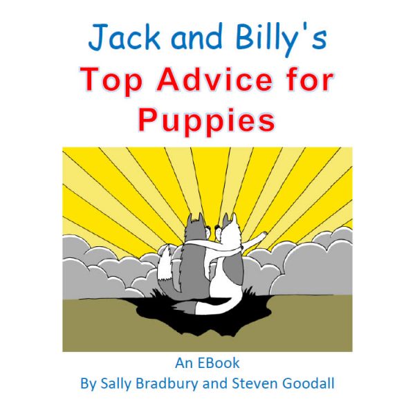 Jack and Billy's Top Advice for Puppies Ebook
